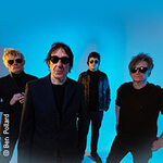 Buzzcocks - Celebrating 50 Years of Buzzcocks