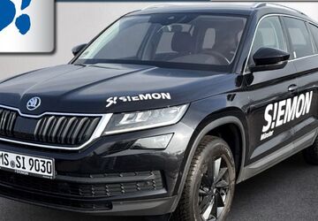 Skoda Kodiaq 189.300 km 21.930 &euro; Münster 48153