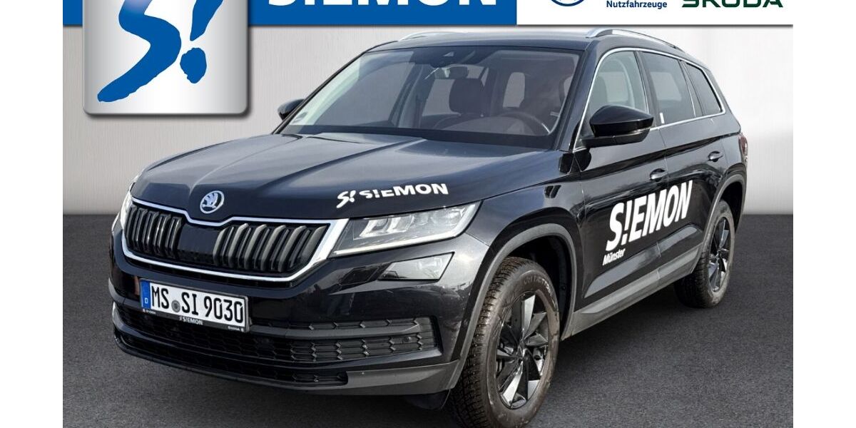 Skoda Kodiaq 189.300 km 21.930 &euro; Münster 48153