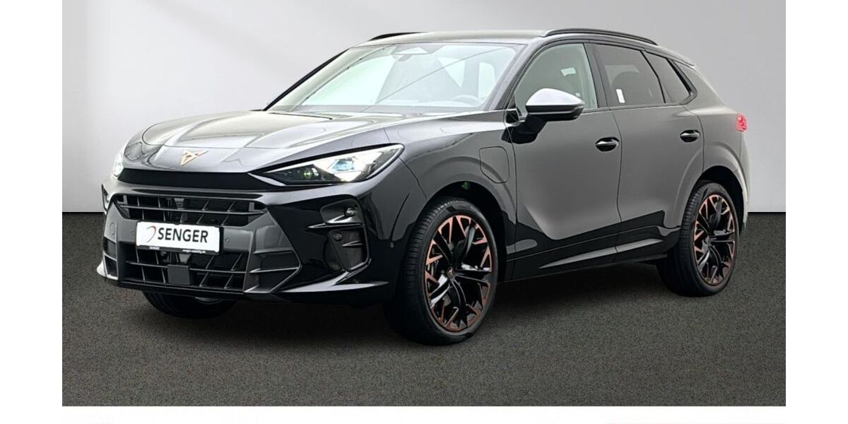 Cupra Terramar 6.000 km 43.980 &euro; Münster 48157